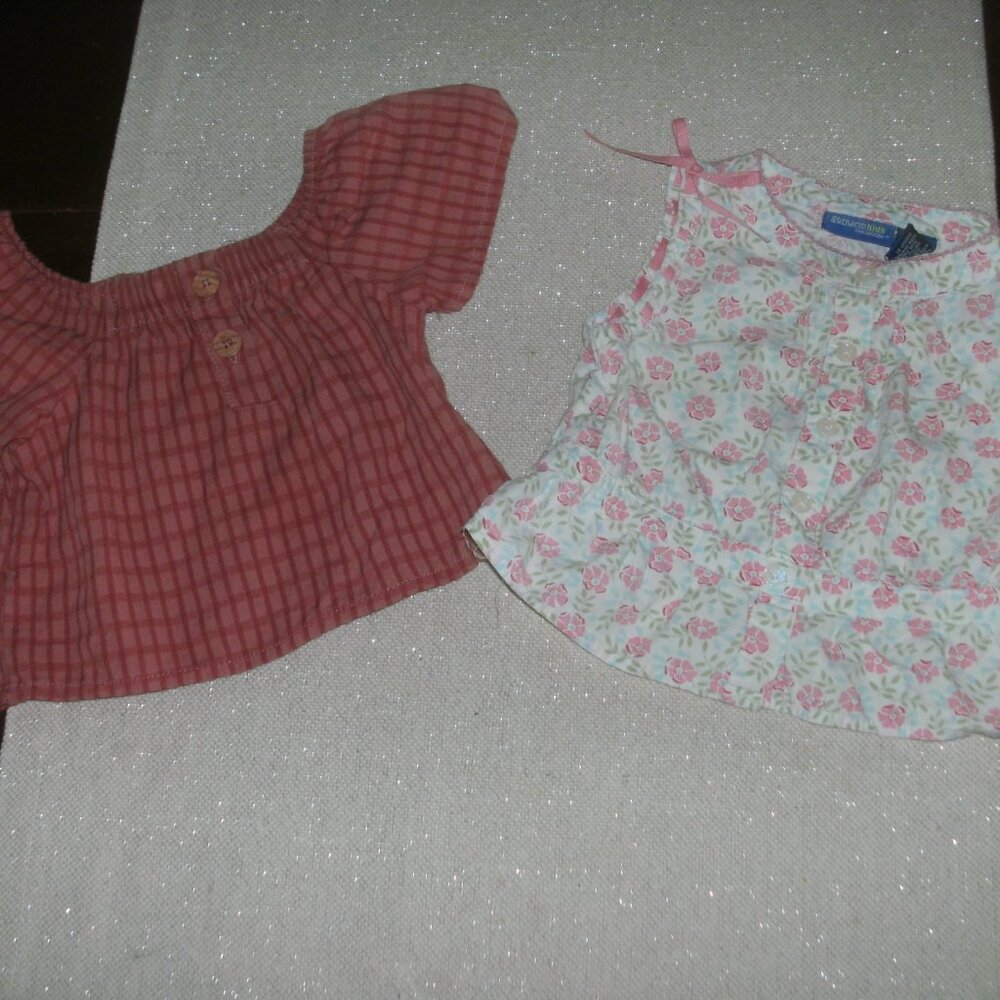 Set of TWO Cute Blouses Easy Peasy Checker Top & Genuine Kids Floral Top ~ 18M